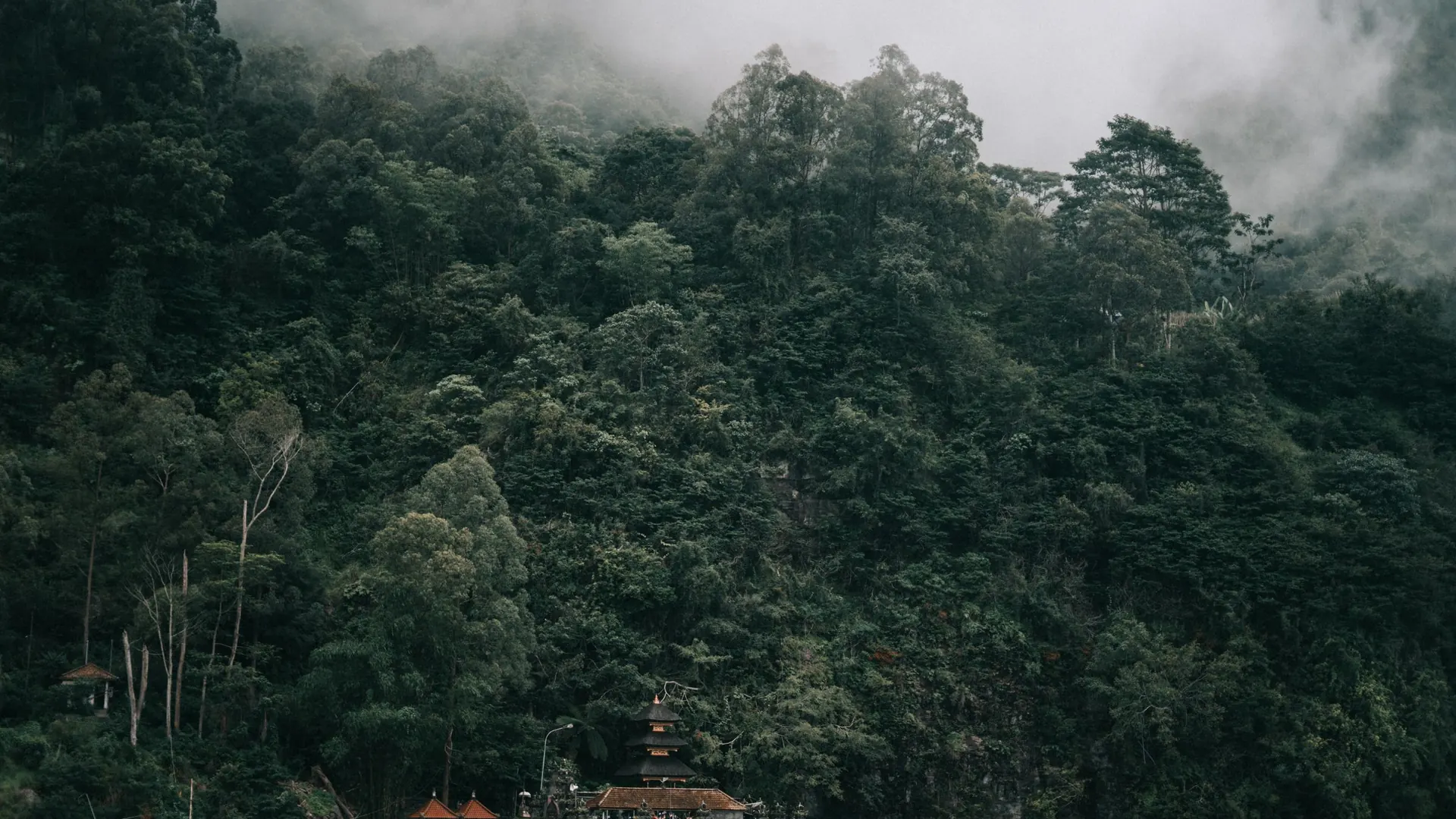 Mist over forested hills above the shore of Lake Beratan