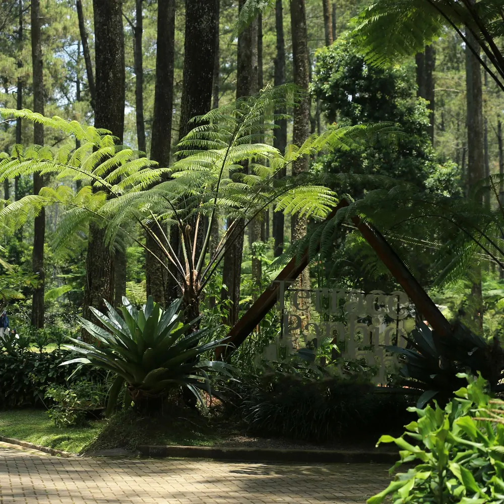 Kebun Raya Bedugul, Bedugul
