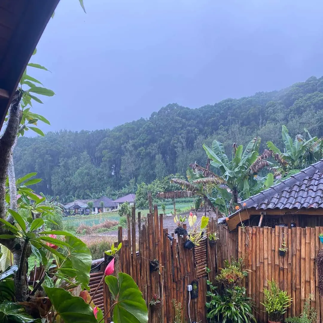 View from a cottage terrace over plants and a pond towards forested hills